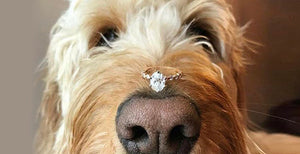 How To Announce Your Engagement On Social Media